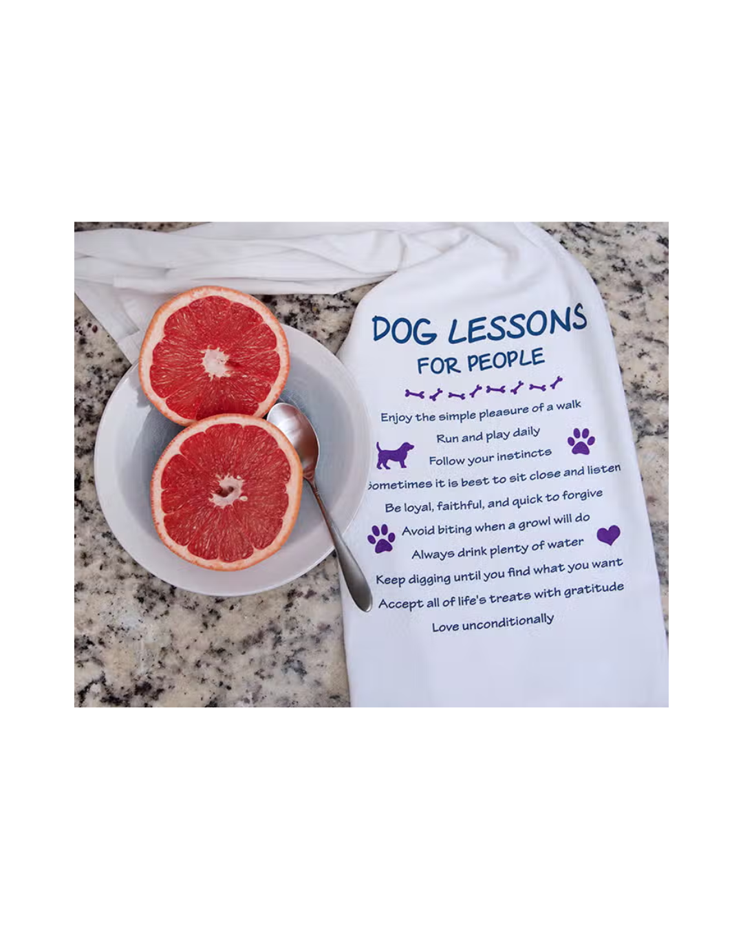 Towels Dog Lessons for People