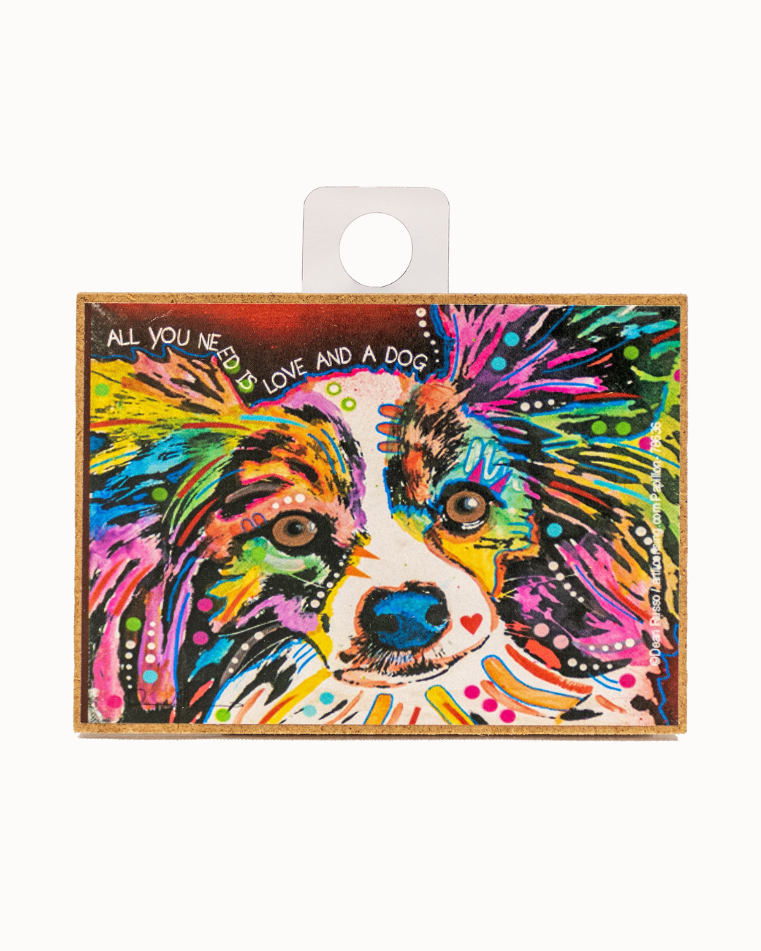 Papillon AYN is love & Dg