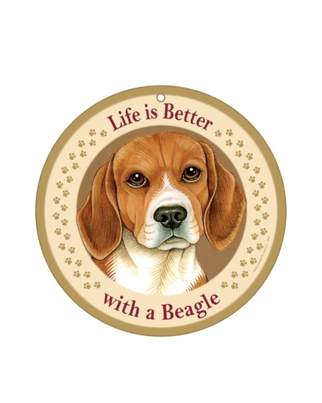 10 RDP LIB W/ a Beagle