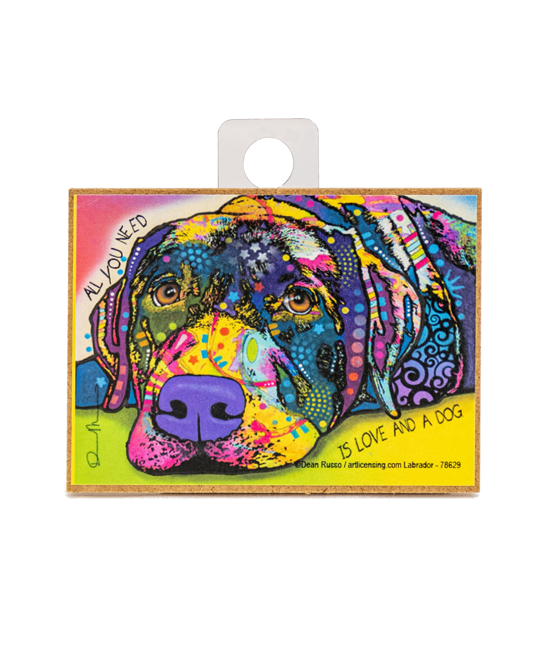 Labrador AYN is love & Dg