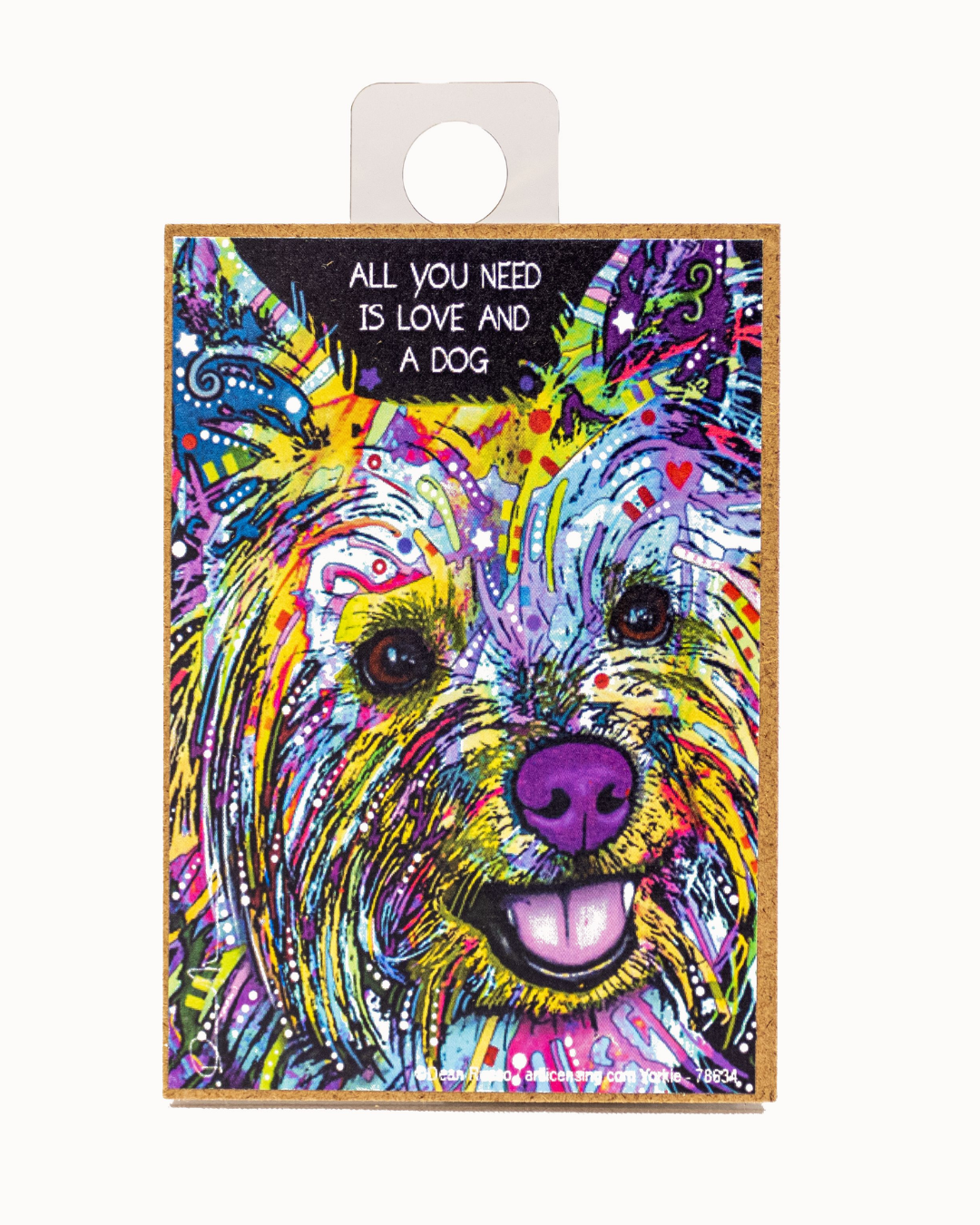 Yorkie AYN is love & Dg