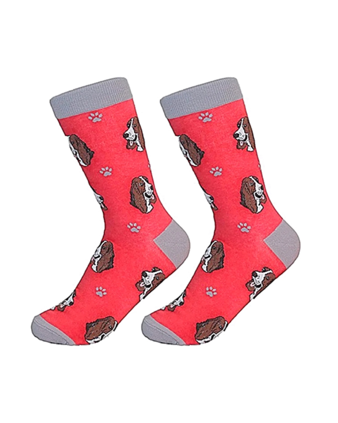 Basset Hound Socks