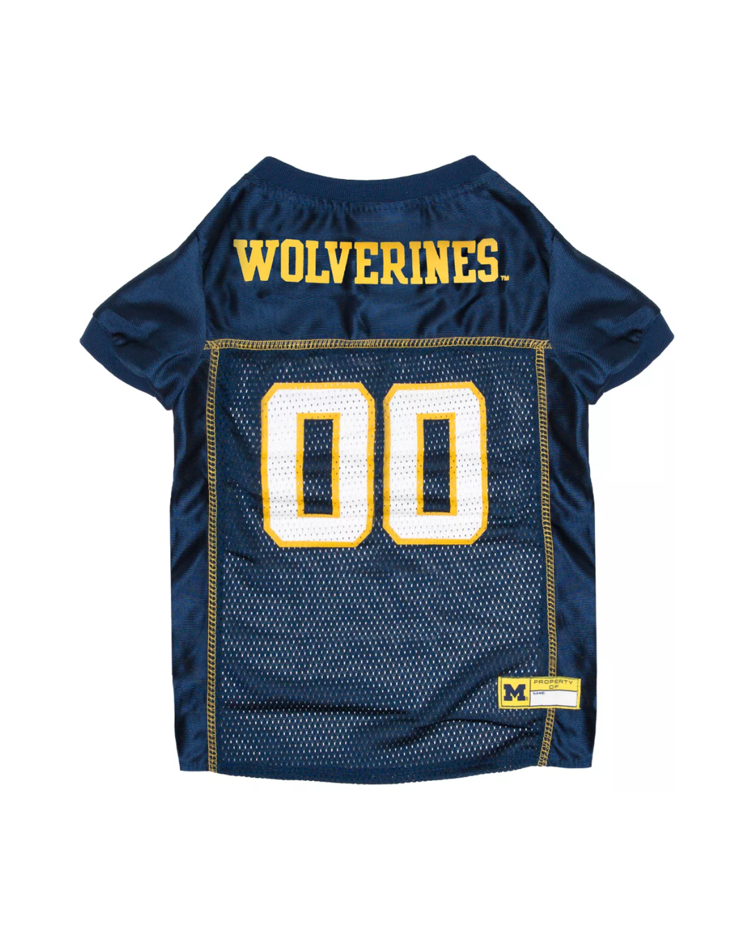 Michigan Jersey