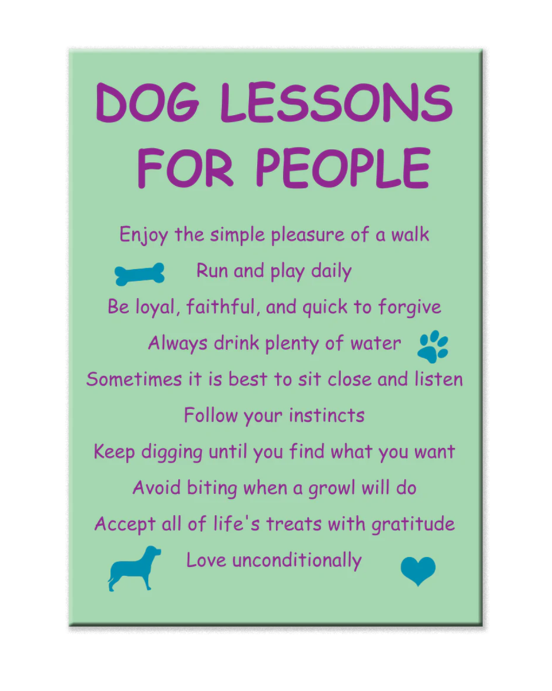 Dog Lessons For People