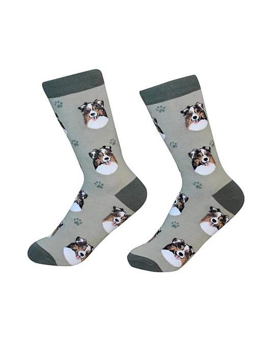 Australian Shepherd Socks