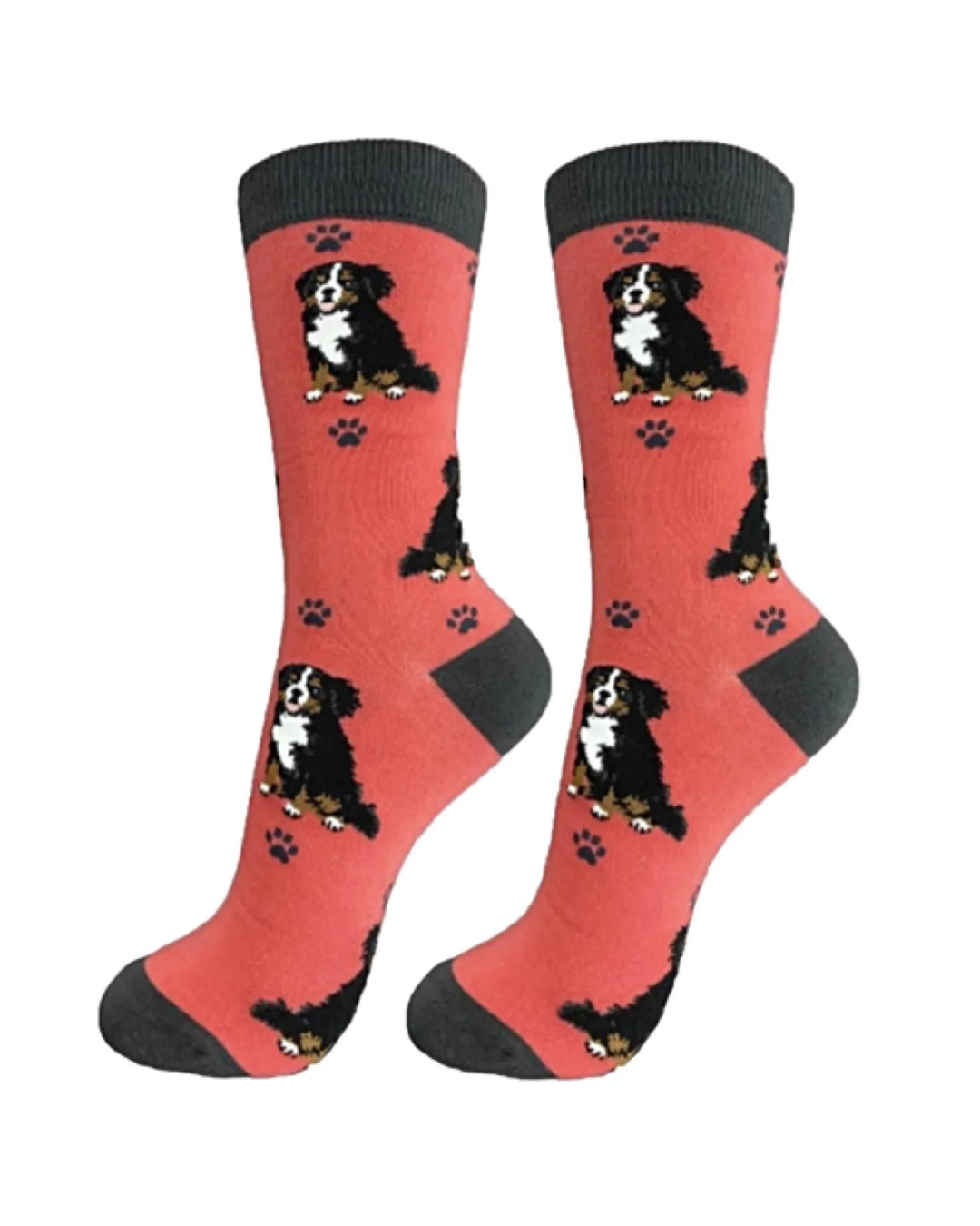 Bernese Mt. Dog Socks