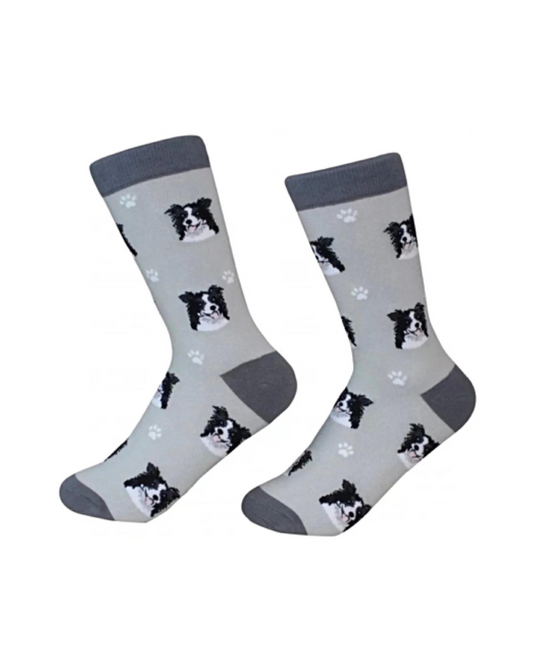 Border Collie Socks