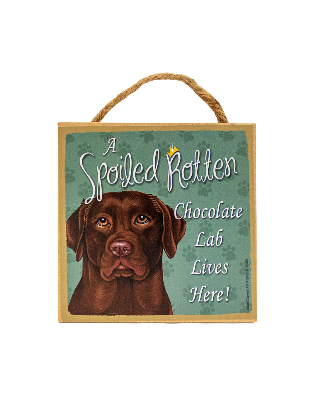 ASR Chocolate Lab