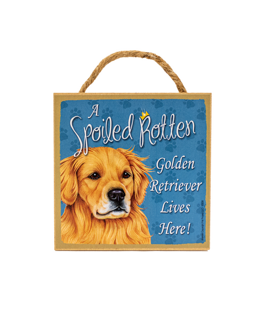 ASR Golden Retriever