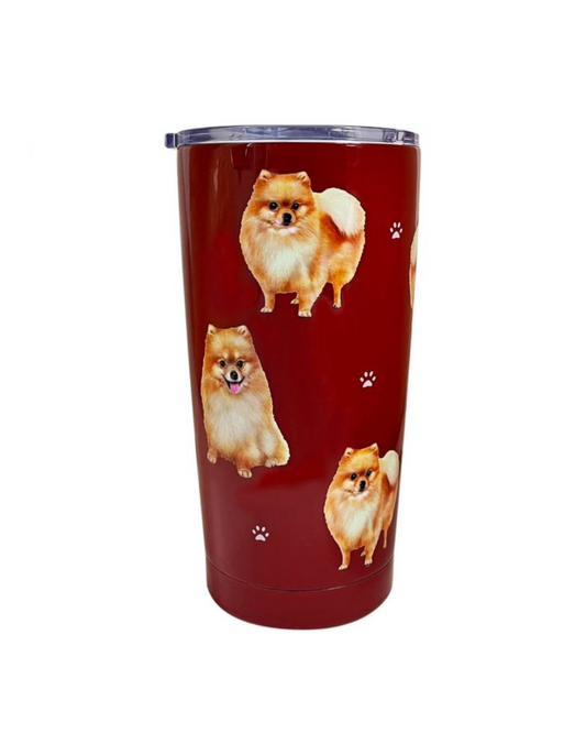 Tumbler Pomeranian