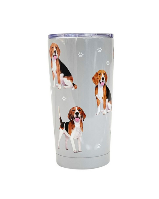 Tumbler Beagle