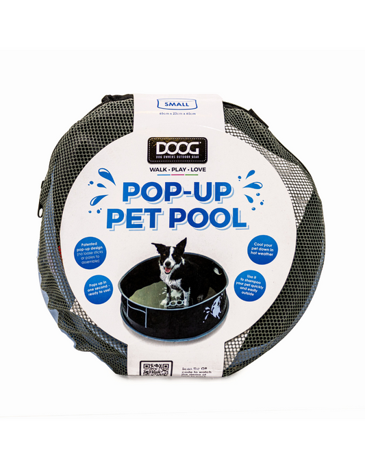 Pop-Up Pool