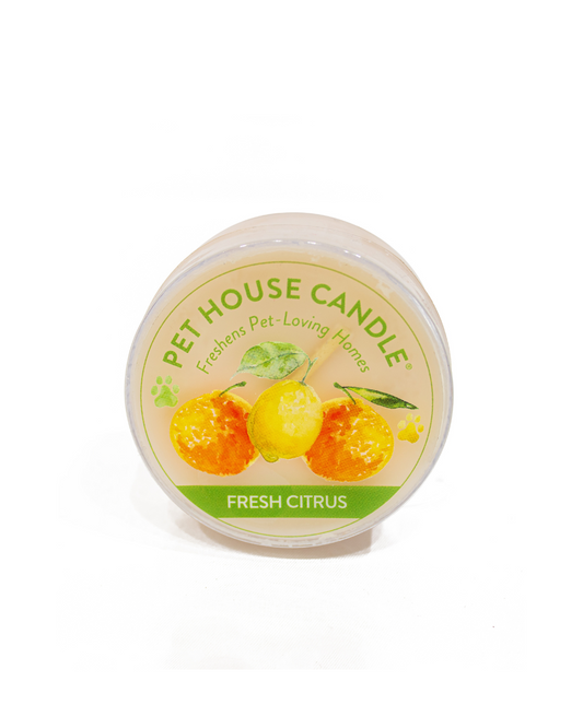 Fresh Citrus Mini Candle