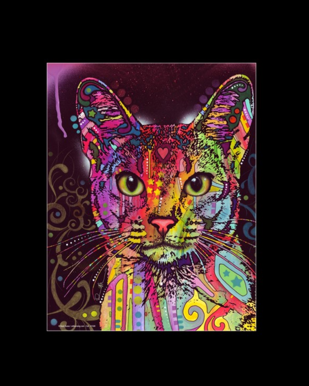 16x20 Matted Cat Aby