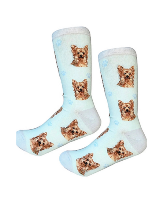 Yorkie Socks