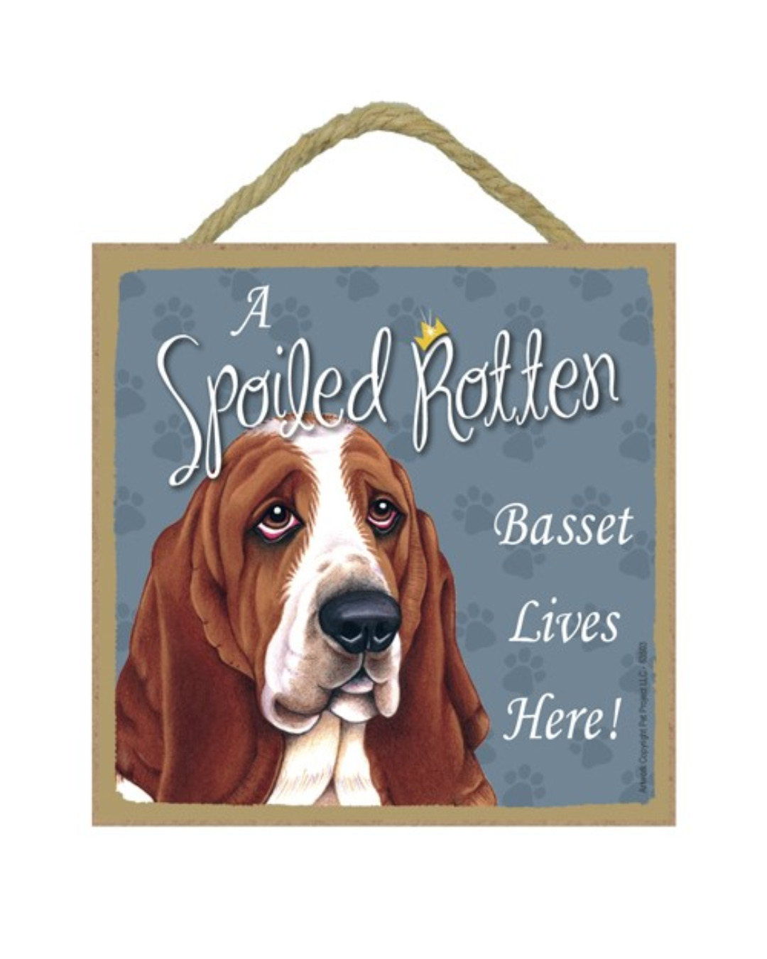 ASR Basset Hound