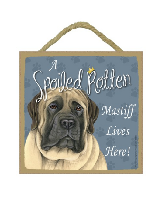 ASR English Mastiff