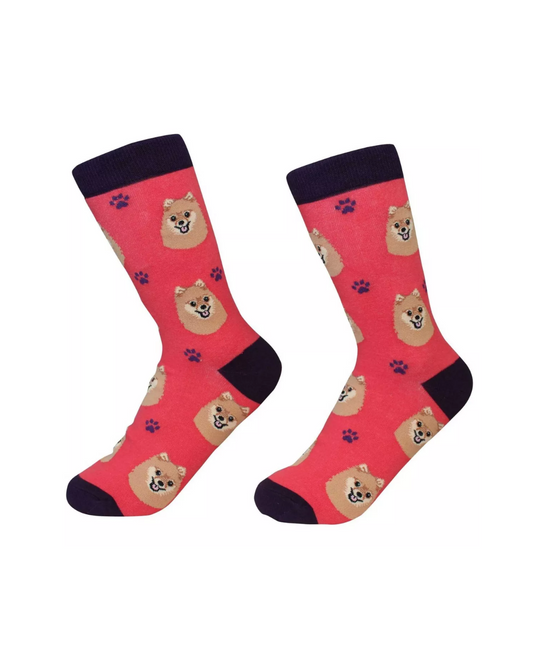 Pomeranian Socks