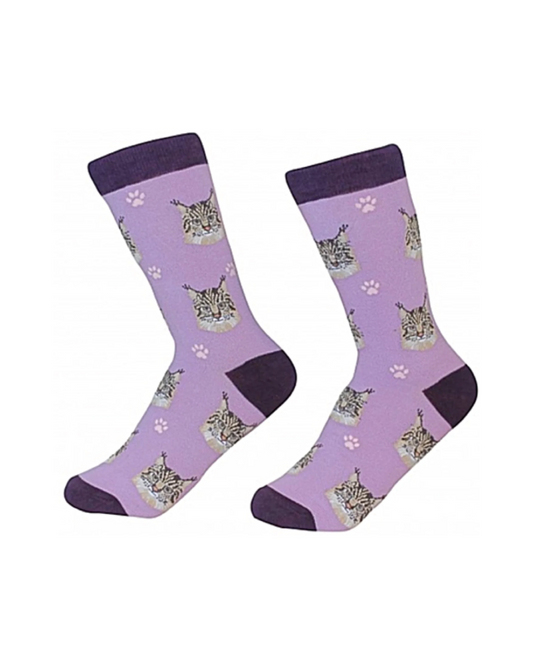 Maine Coon Socks