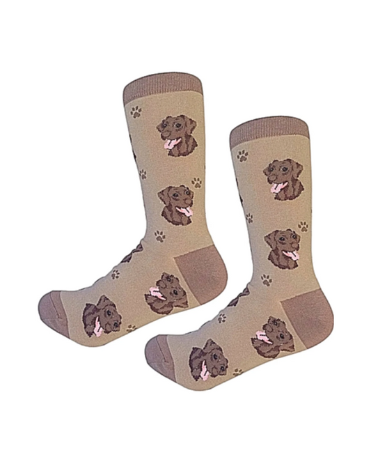 Labrador chocolate Socks