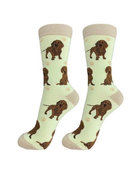 Dachshund red Socks