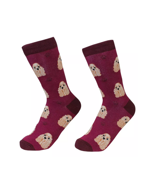 Cocker Spaniel Socks