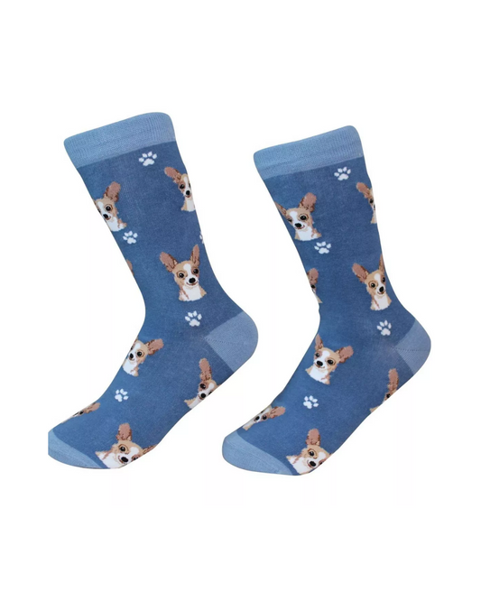 Chihuahua fawn Socks