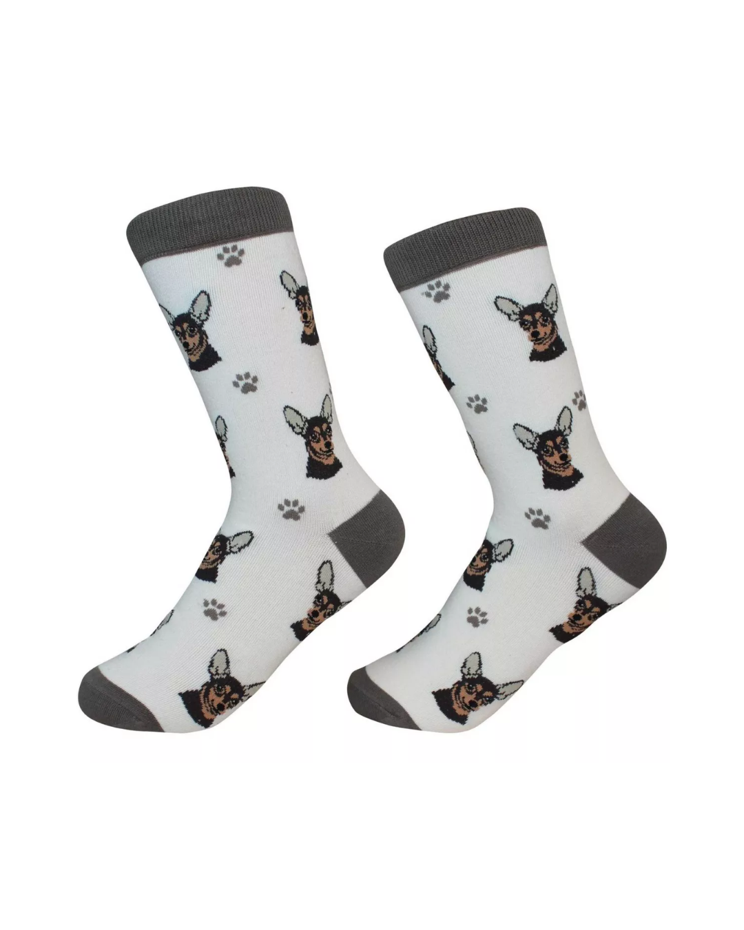 Chihuahua black Socks