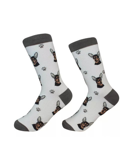 Chihuahua black Socks