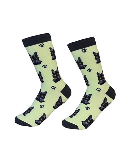 Black Cat Socks