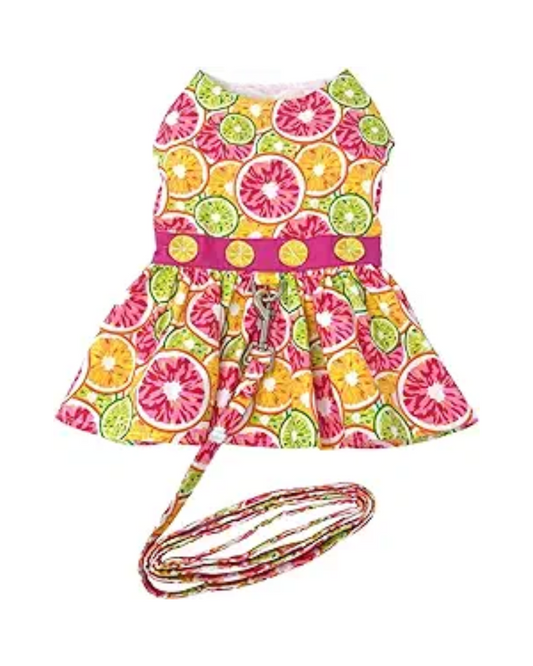 Citrus Slice Dog Dress