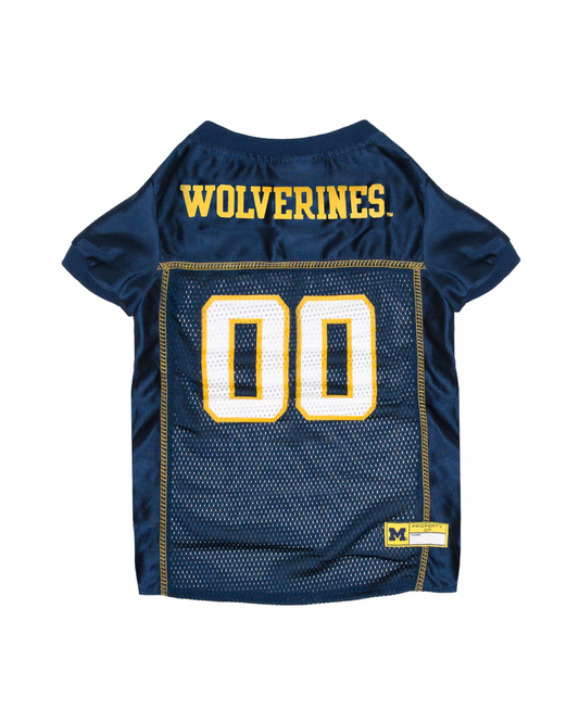 Michigan  Jersey