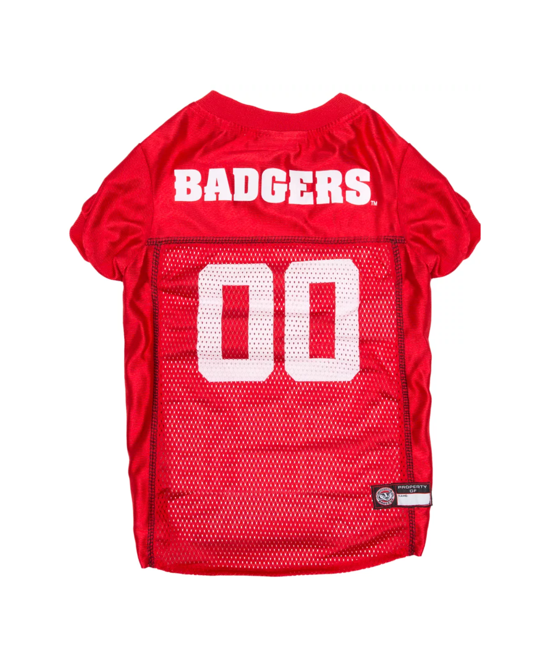 Wisconsin  Jersey