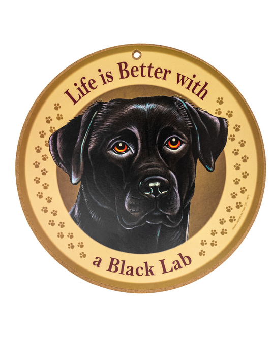 10 RDP LIB W/  a Black Lab