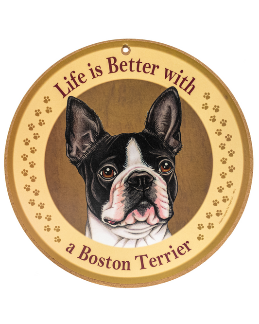 10 RDP LIB W/  a Boston Ter