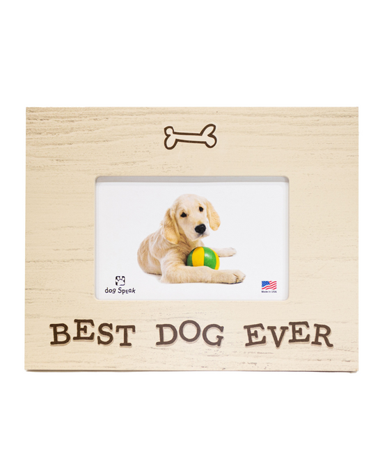 Best Dog Frame