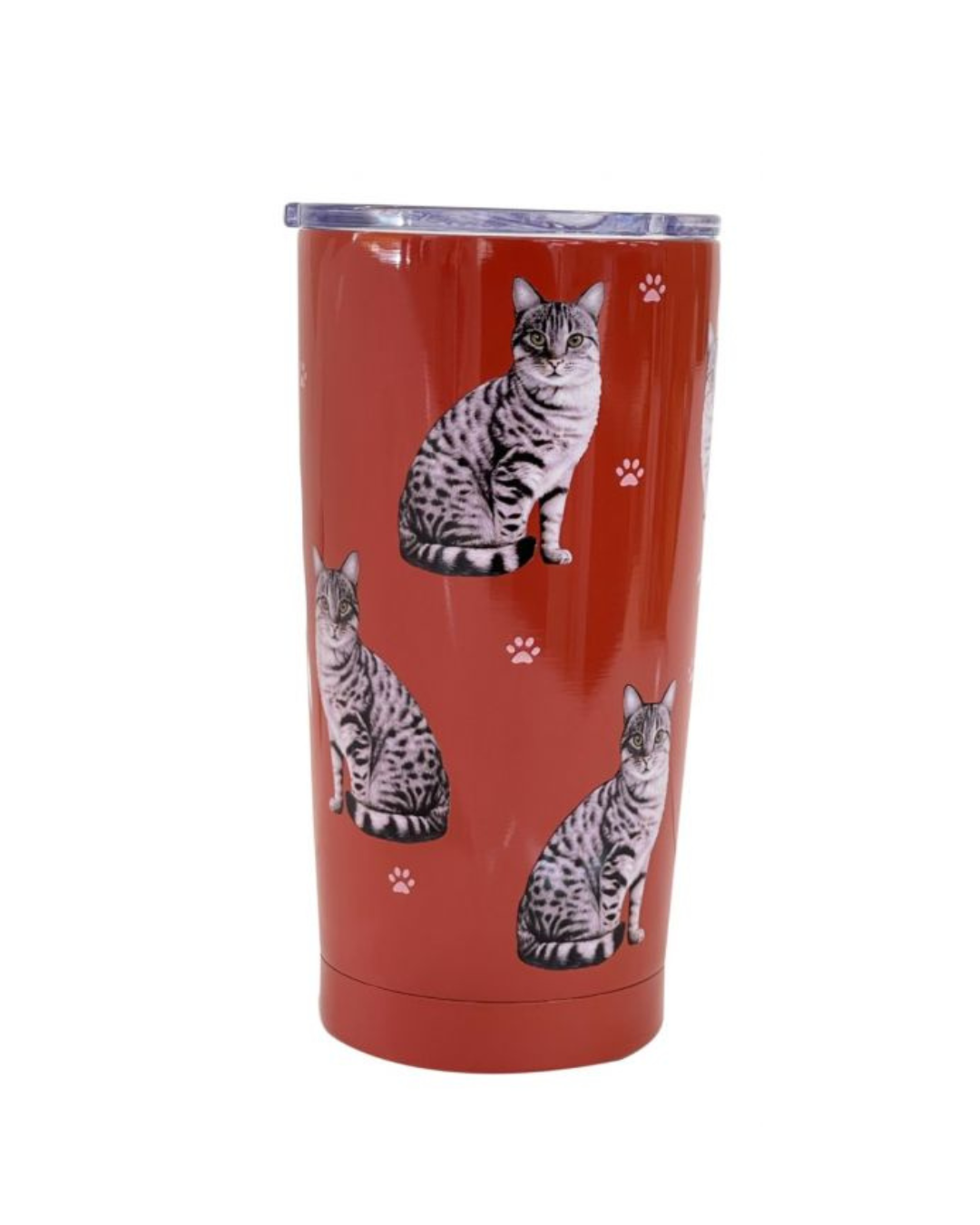 Tumbler Tabby Silver